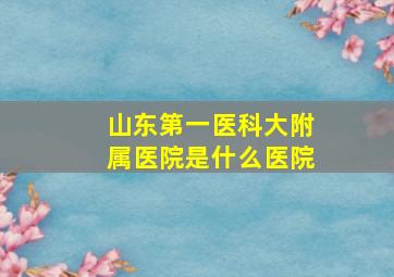 山东第一医科大附属医院是什么医院