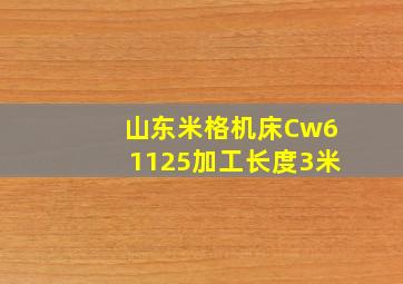 山东米格机床Cw61125加工长度3米