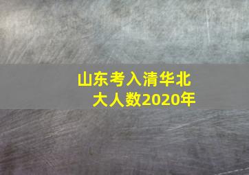 山东考入清华北大人数2020年