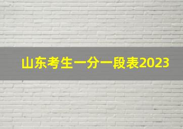 山东考生一分一段表2023