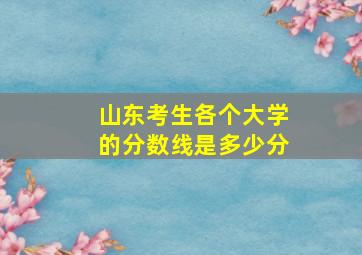 山东考生各个大学的分数线是多少分