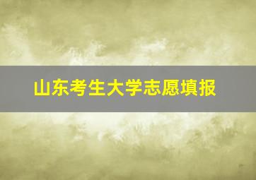 山东考生大学志愿填报