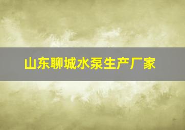 山东聊城水泵生产厂家