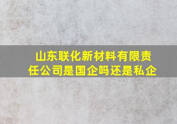 山东联化新材料有限责任公司是国企吗还是私企