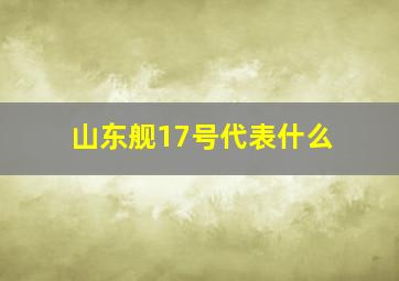 山东舰17号代表什么