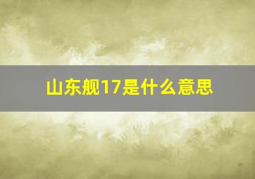 山东舰17是什么意思