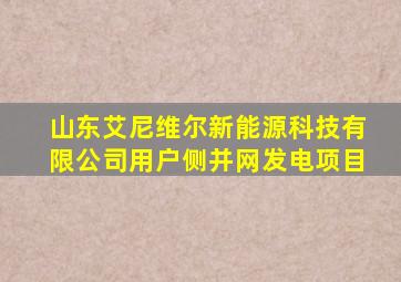 山东艾尼维尔新能源科技有限公司用户侧并网发电项目