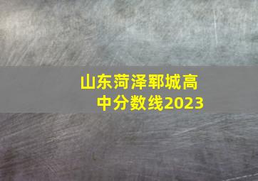 山东菏泽郓城高中分数线2023