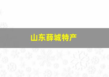 山东薛城特产