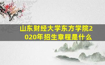 山东财经大学东方学院2020年招生章程是什么