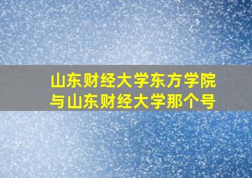 山东财经大学东方学院与山东财经大学那个号