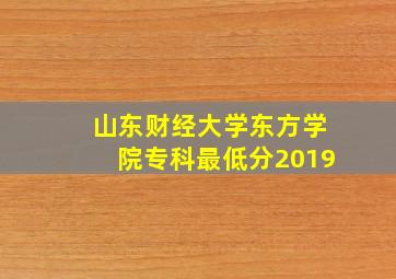 山东财经大学东方学院专科最低分2019