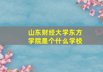 山东财经大学东方学院是个什么学校