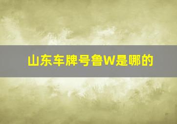 山东车牌号鲁W是哪的