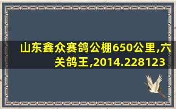 山东鑫众赛鸽公棚650公里,六关鸽王,2014.228123