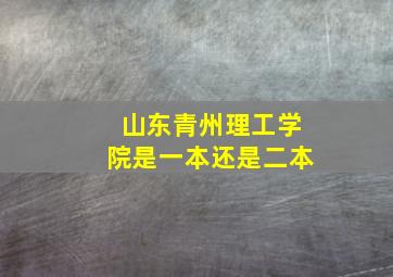 山东青州理工学院是一本还是二本