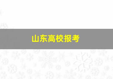 山东高校报考