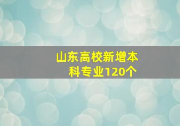 山东高校新增本科专业120个