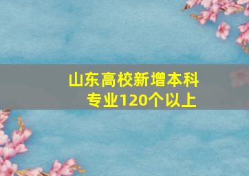 山东高校新增本科专业120个以上