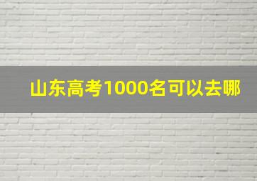 山东高考1000名可以去哪