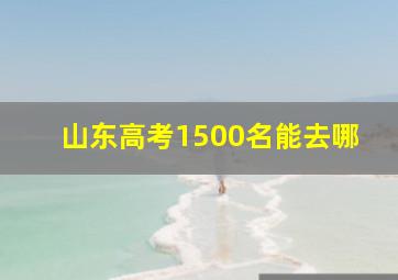 山东高考1500名能去哪