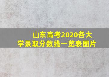 山东高考2020各大学录取分数线一览表图片