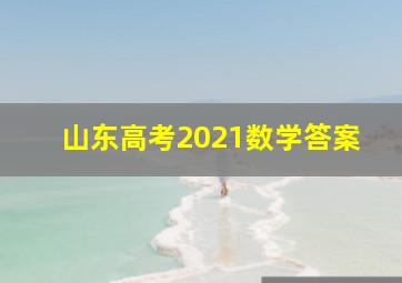 山东高考2021数学答案