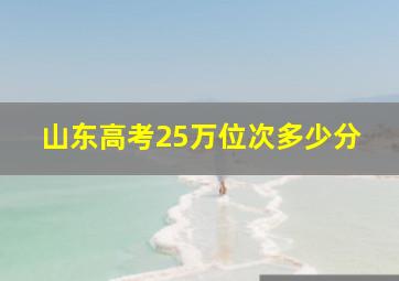 山东高考25万位次多少分