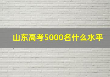 山东高考5000名什么水平