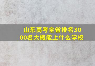 山东高考全省排名3000名大概能上什么学校