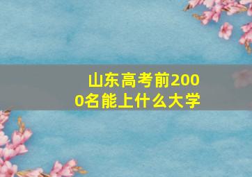 山东高考前2000名能上什么大学