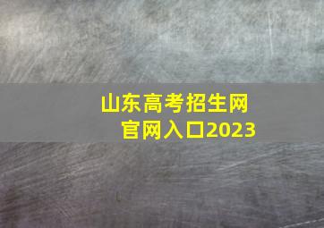 山东高考招生网官网入口2023