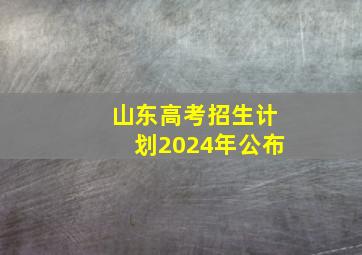 山东高考招生计划2024年公布