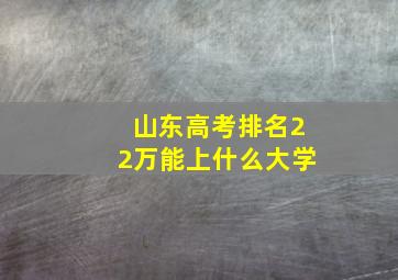 山东高考排名22万能上什么大学