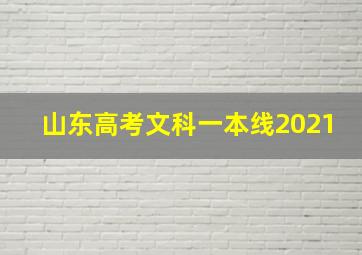 山东高考文科一本线2021