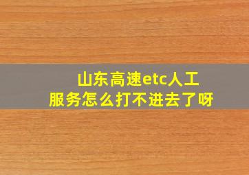 山东高速etc人工服务怎么打不进去了呀