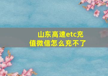 山东高速etc充值微信怎么充不了