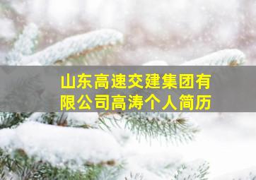 山东高速交建集团有限公司高涛个人简历