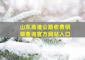 山东高速公路收费明细查询官方网站入口