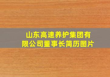 山东高速养护集团有限公司董事长简历图片