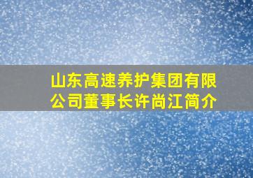 山东高速养护集团有限公司董事长许尚江简介