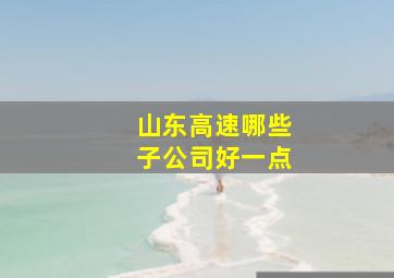 山东高速哪些子公司好一点