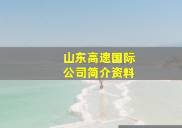 山东高速国际公司简介资料