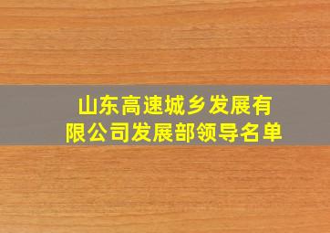 山东高速城乡发展有限公司发展部领导名单