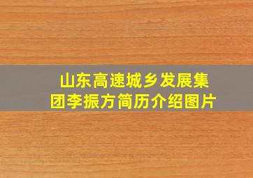 山东高速城乡发展集团李振方简历介绍图片