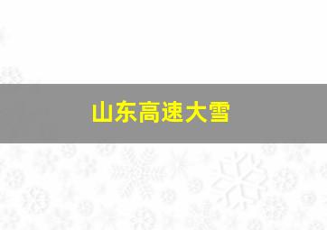 山东高速大雪