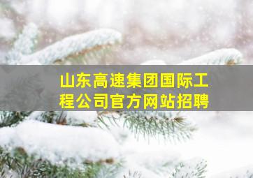 山东高速集团国际工程公司官方网站招聘