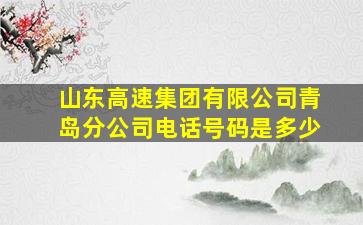 山东高速集团有限公司青岛分公司电话号码是多少