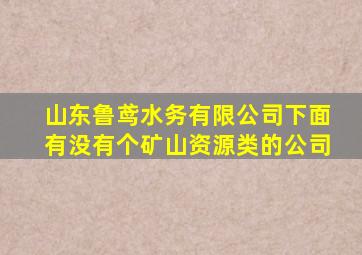 山东鲁鸢水务有限公司下面有没有个矿山资源类的公司