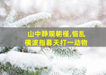 山中静观朝槿,恼乱横波指暮天打一动物